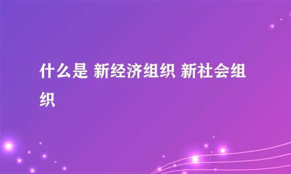 什么是 新经济组织 新社会组织