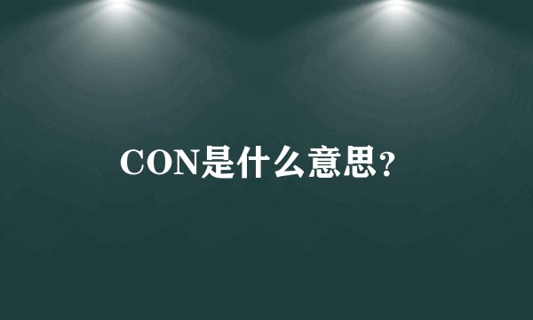 CON是什么意思？