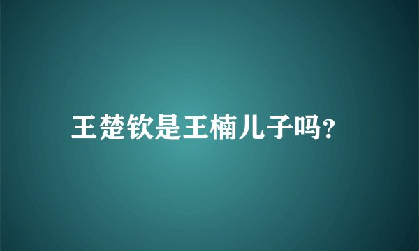 王楚钦是王楠儿子吗？