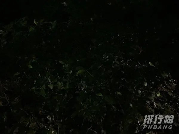 华为mate30和p40哪个拍照效果好_华为mate30和p40对比哪个好