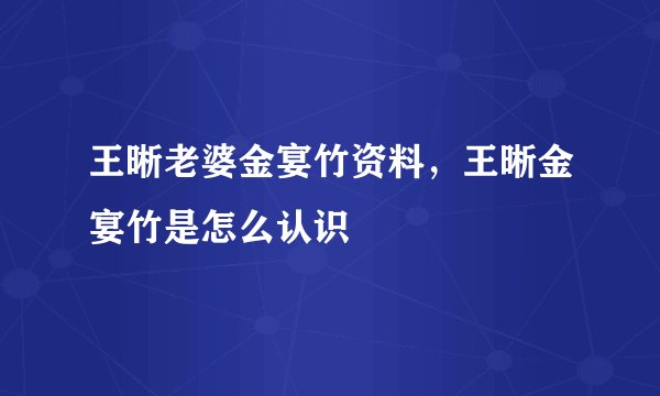 王晰老婆金宴竹资料，王晰金宴竹是怎么认识