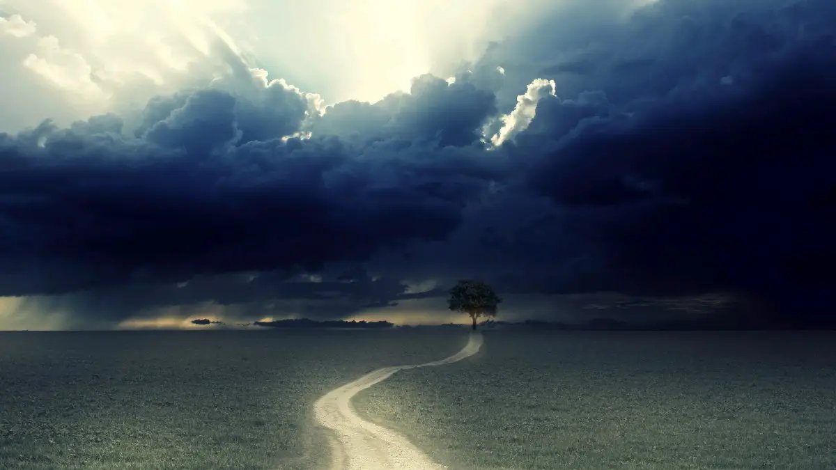 十一月初一出生的女孩什么命,十一月初一出生的人命运如何?