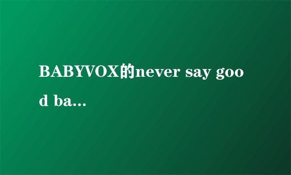 BABYVOX的never say good bay的中文歌词?