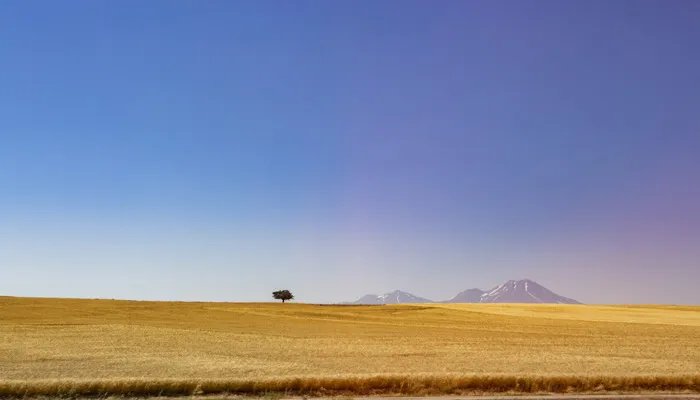 一公顷是多少亩 一公顷是多少亩地