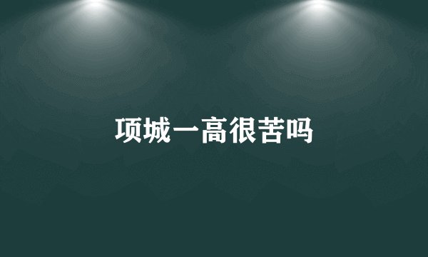 项城一高很苦吗