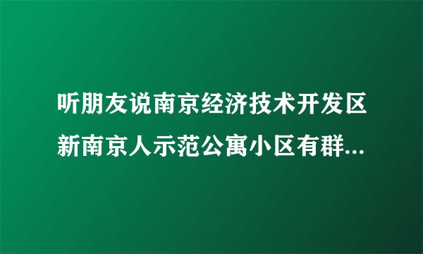听朋友说南京经济技术开发区新南京人示范公寓小区有群租房？居住起来会不会感觉人员混杂比较乱？