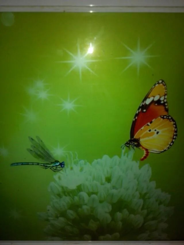 每天都开心不起来怎么办？