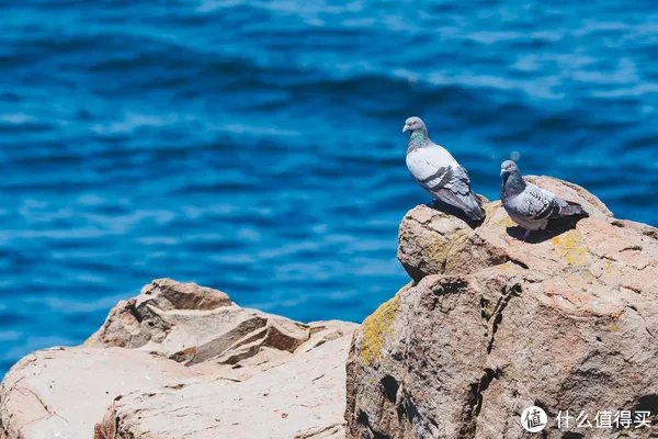 漫谈M43 篇一：M43画幅相机？这个相机体系有什么优劣？有图有真相！