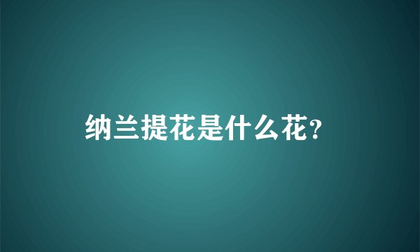 纳兰提花是什么花？