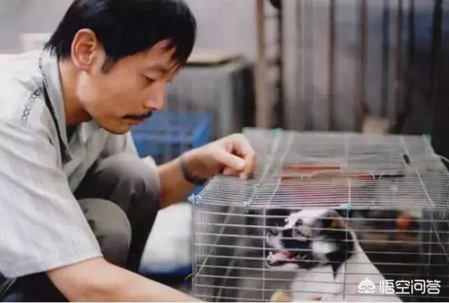 第6代导演与新生代导演