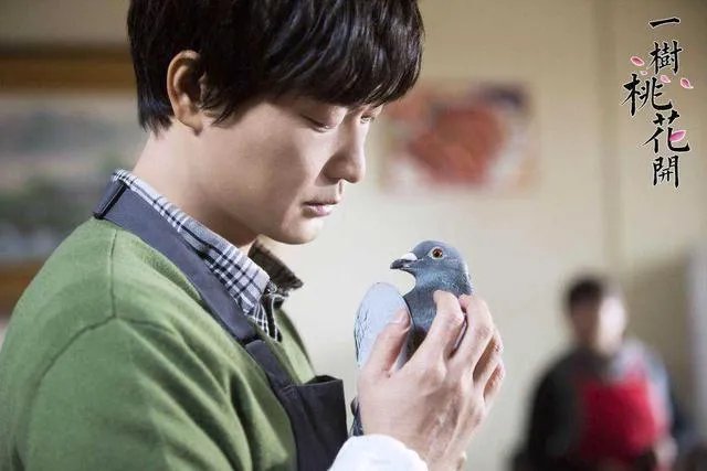 电视剧《一树桃花开》，相比盛开，为啥狄英最后能治服罗耀辉母？