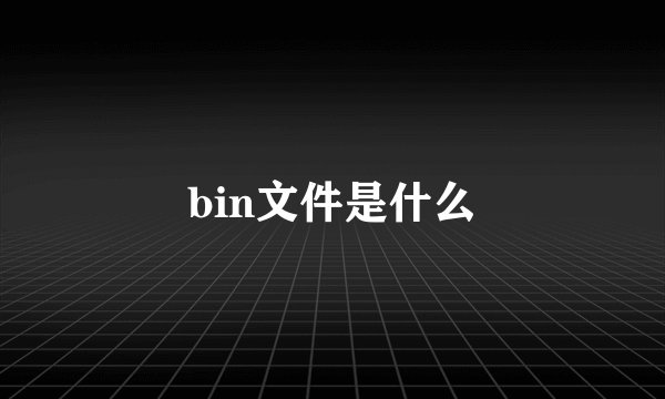 bin文件是什么