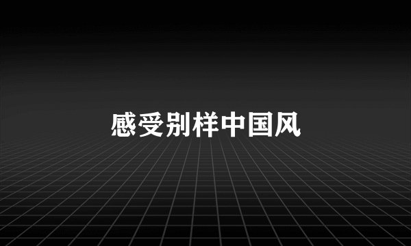 感受别样中国风