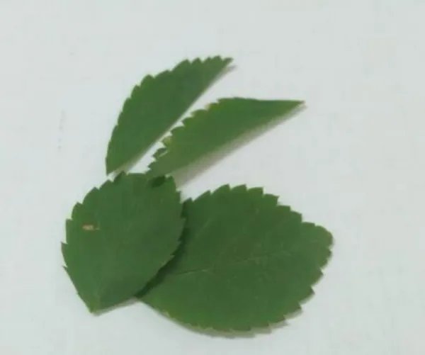 小兔子手工制作方法