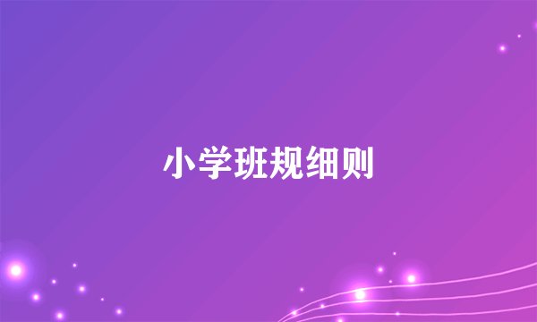 小学班规细则