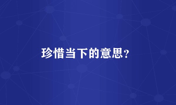 珍惜当下的意思？