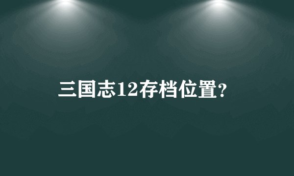 三国志12存档位置？