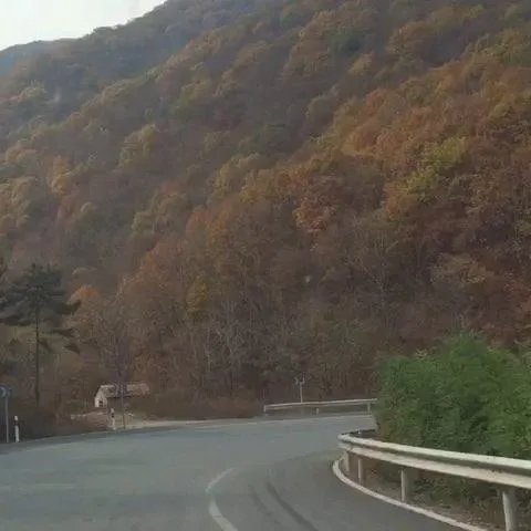 两个婆娘一个郎的音乐原声