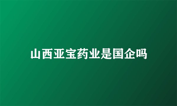 山西亚宝药业是国企吗