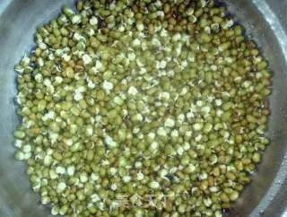 生绿豆芽