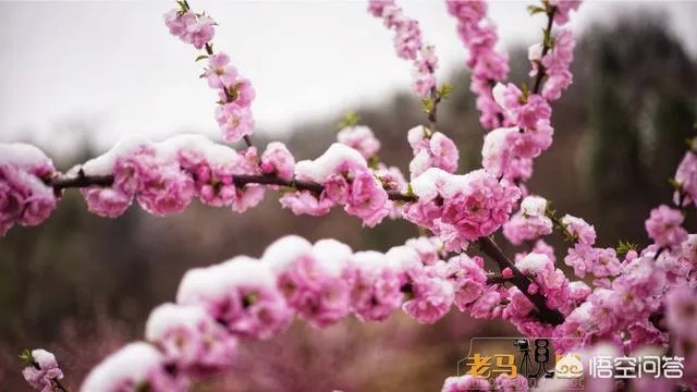 石家庄勒泰中心好在哪里？