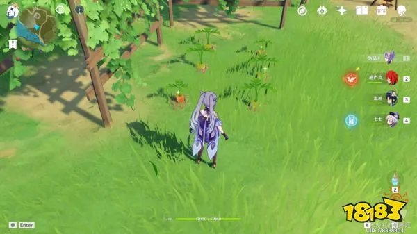 原神白萝卜在哪里采集 白萝卜采集路线推荐