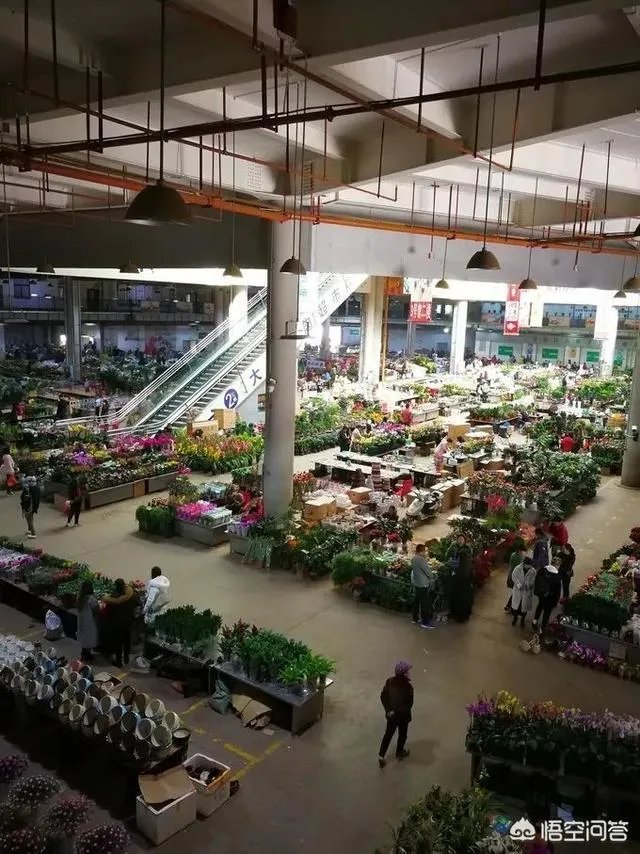 云南有哪些大的鲜花市场?