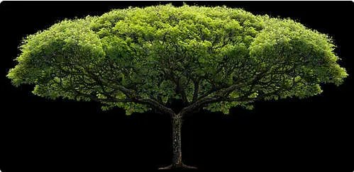 一寸相片尺寸标准(一寸照的尺寸比例