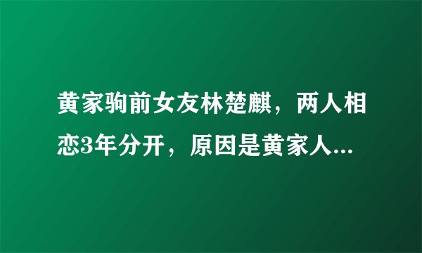 黄家驹前女友林楚麒，两人相恋3年分开，原因是黄家人不同意？