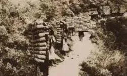 古代“茶马互市”是什么时候兴起的？茶马互换制度是怎么样的？