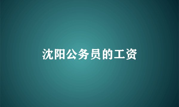 沈阳公务员的工资