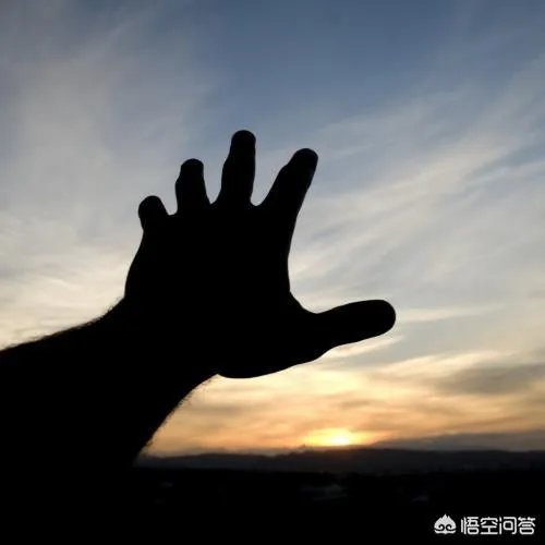 山东航空公司杨佳文