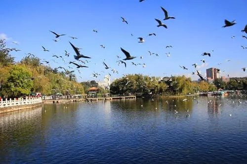 全中国空气质量最好的是哪个城市？