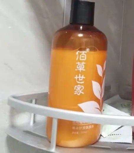 防脱发洗发水到底哪个好？