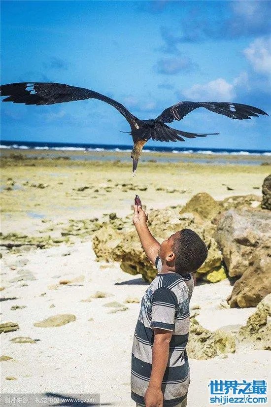 世界上最小的岛瑙鲁岛 面积仅有24公里却藏着不少景点 