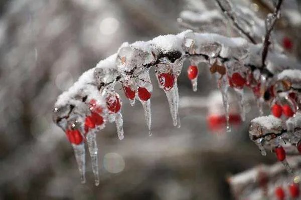 今年首个寒潮来袭,将对哪些省区市有什么影响?