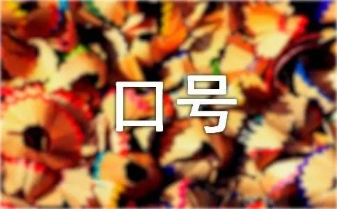 学习小组组名和口号