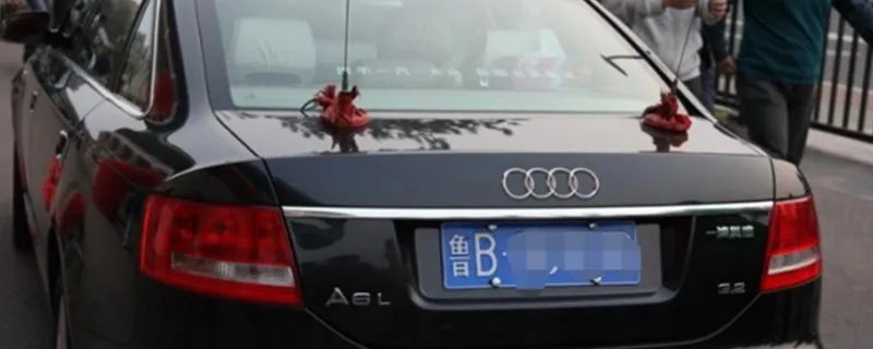 鲁b是哪里的车牌号