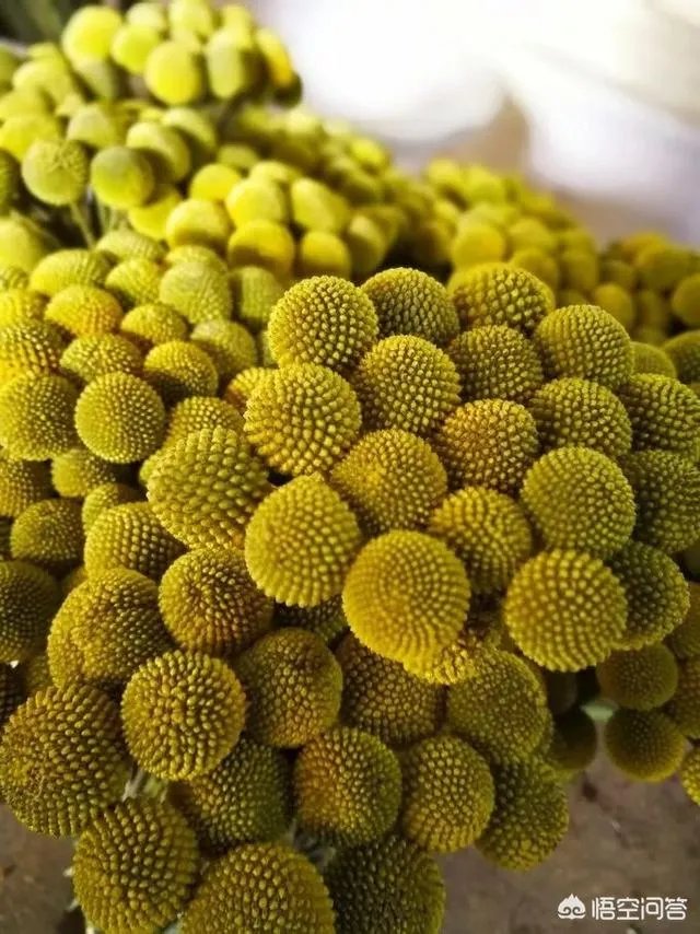 云南有哪些大的鲜花市场?