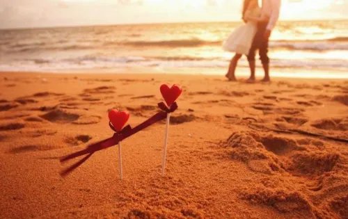 83年属什么的生肖配对 1983年最佳配偶属相是哪个