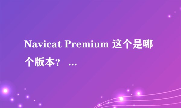 Navicat Premium 这个是哪个版本？ 求注册码