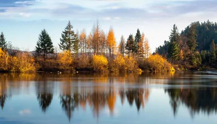 秋声赋翻译及赏析