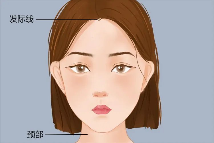 口腔颌面是哪个位置图片