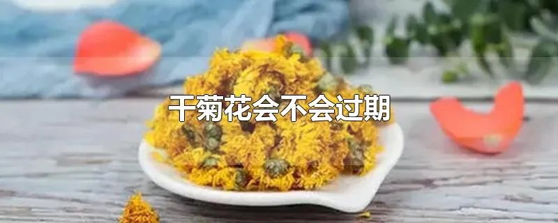 干菊花会不会过期