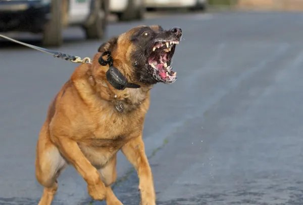 邯郸男孩失联3日发现遗体，这名男孩的死因到底是什么？