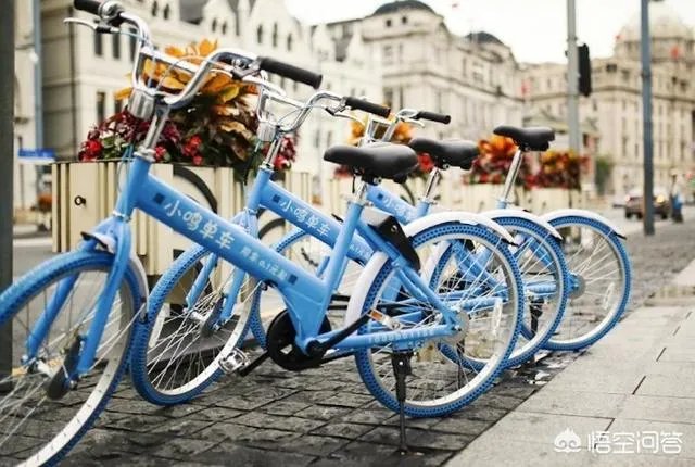 从目前来看，共享单车倒闭几家了？