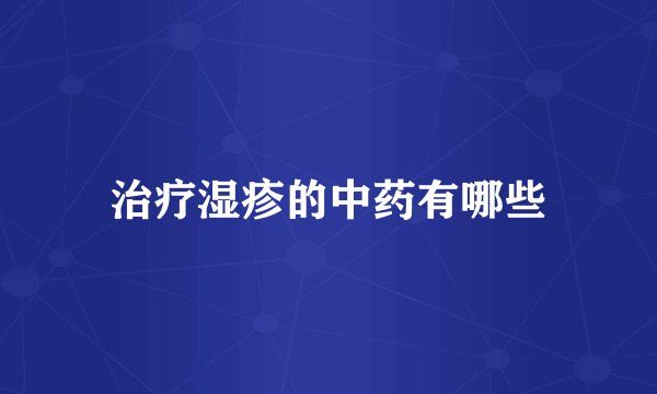 治疗湿疹的中药有哪些