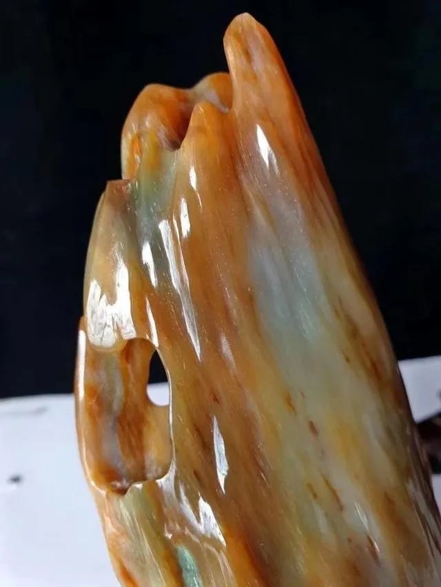 真正的树化石价格