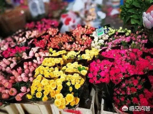 云南有哪些大的鲜花市场?