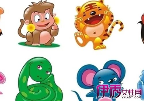 十二生肖的图片欣赏